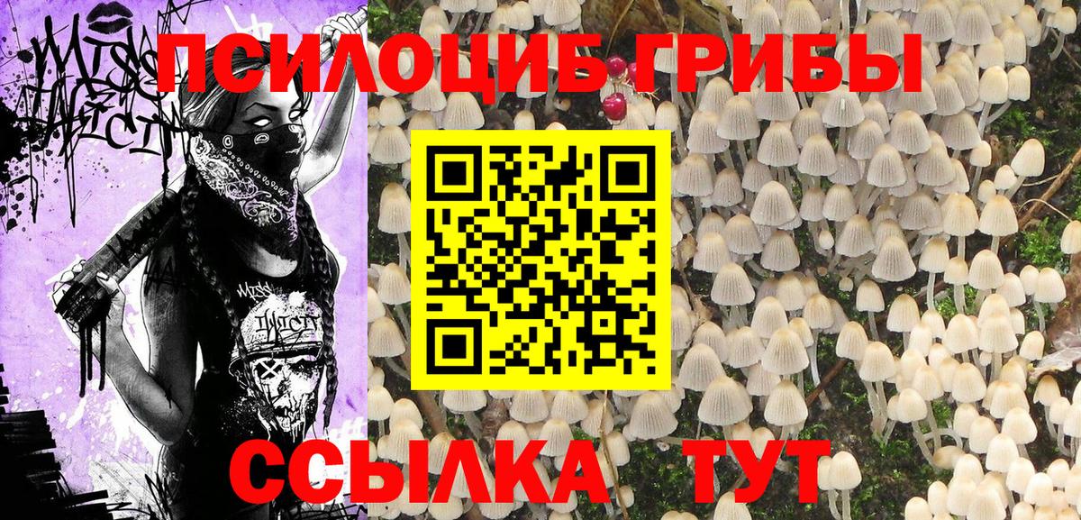 Галлюциногенные грибы прущие грибы Видное