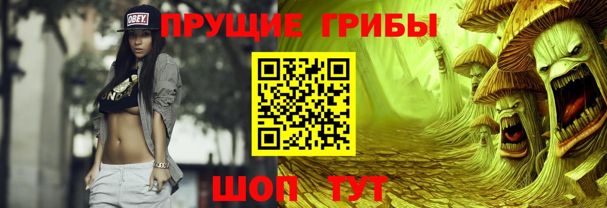 Псилоцибиновые грибы мицелий  Вход с VPN  Псилоцибиновые грибы Psilocybine cubensis  Видное 