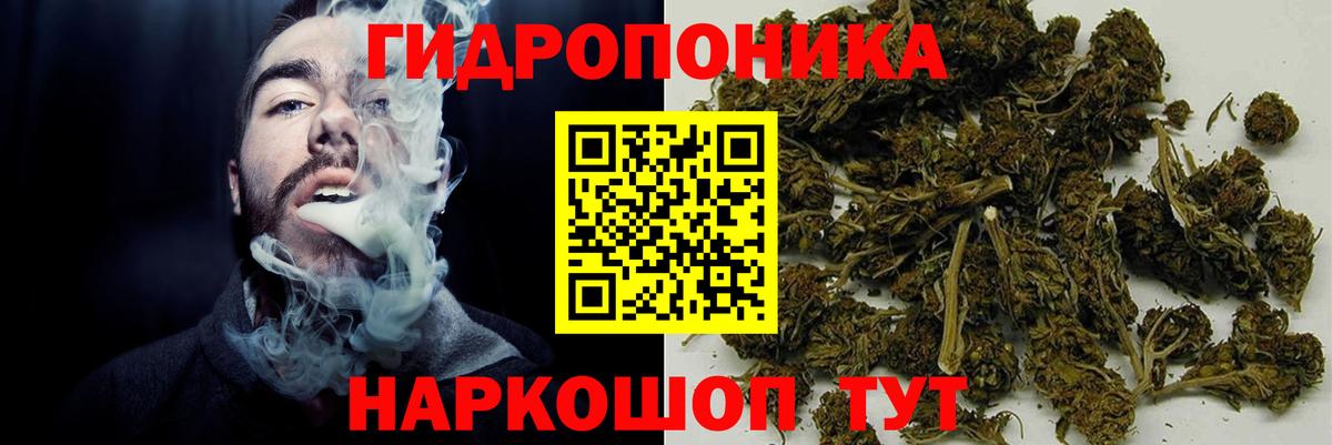 Канабис White Widow Видное